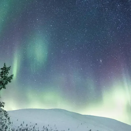 Lapland Olos